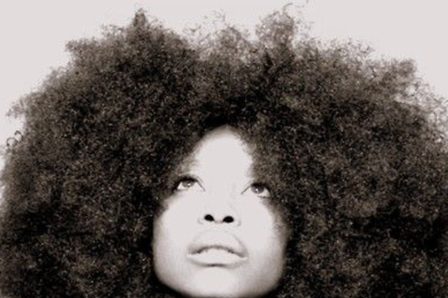 Deeper Than Hair: A Journey Through Black Women's Hair History